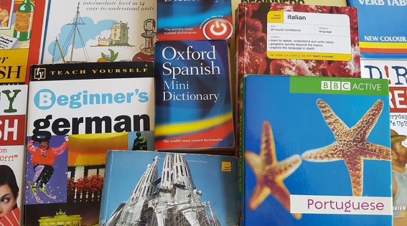 Słowniki języków wykorzystywanych w Europie